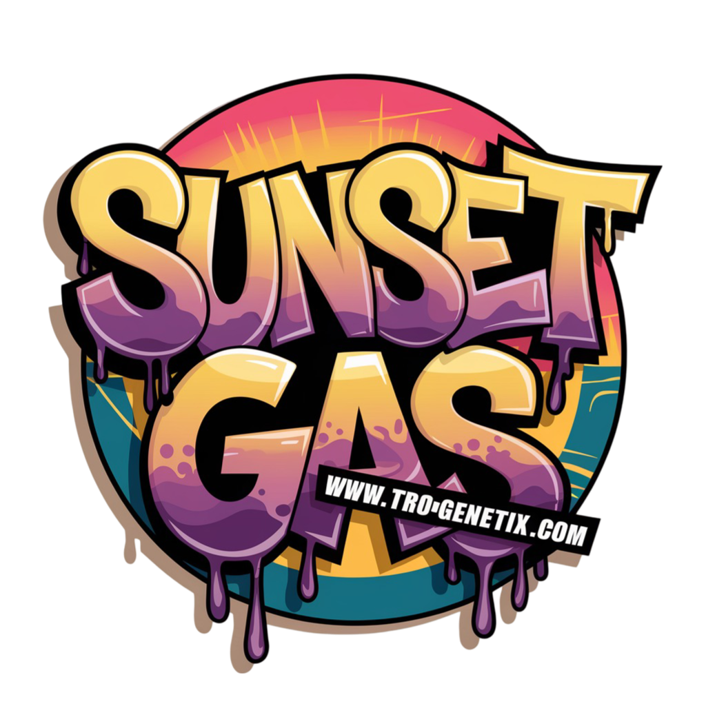 SUNSET GAS X1(fem)