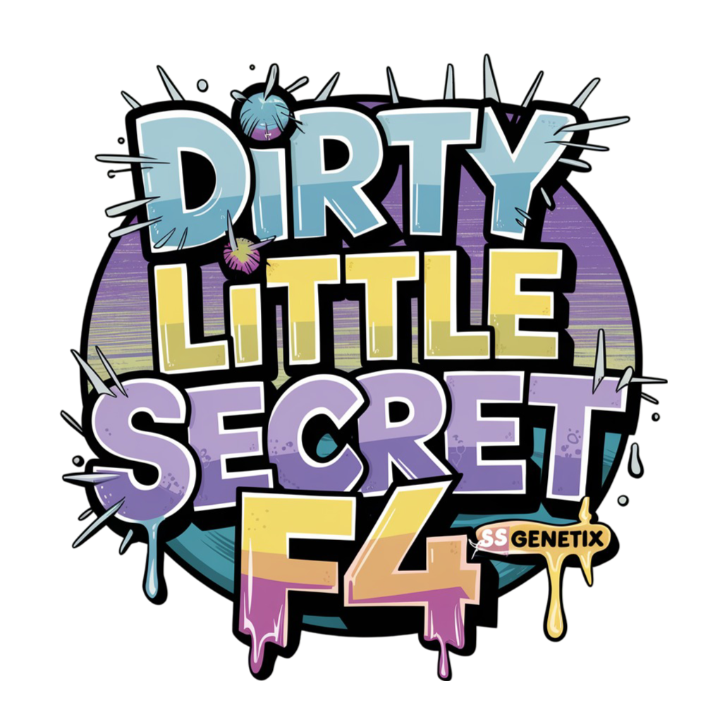 DIRTY LITTLE SECRET F4 X2(fem)