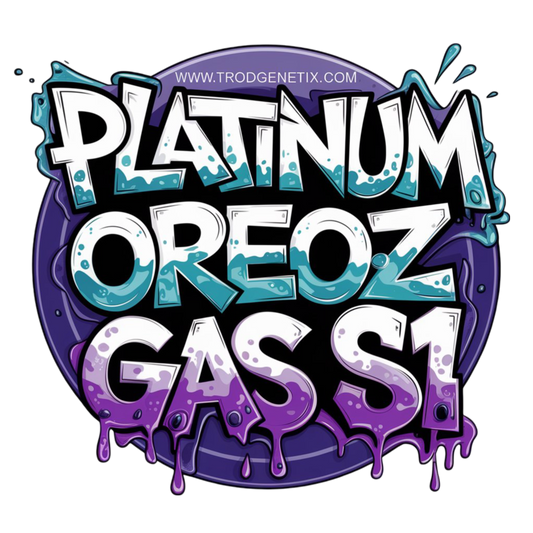 PLATINUM OREOZ GAS S1 X2(fem)