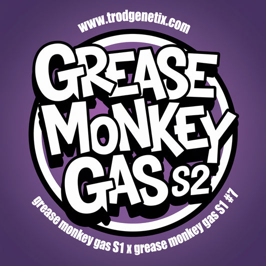 GREASE MONKEY GAS S2 X1(fem)