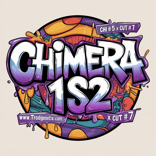 CHIMERA 1 S2 X2(fem)