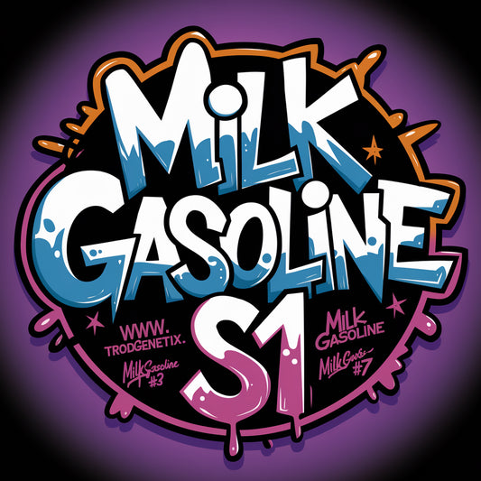 MILK GASOLINE S1 X2(fem)