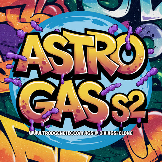 ASTRO GAS S2 FOTO x7(fem)