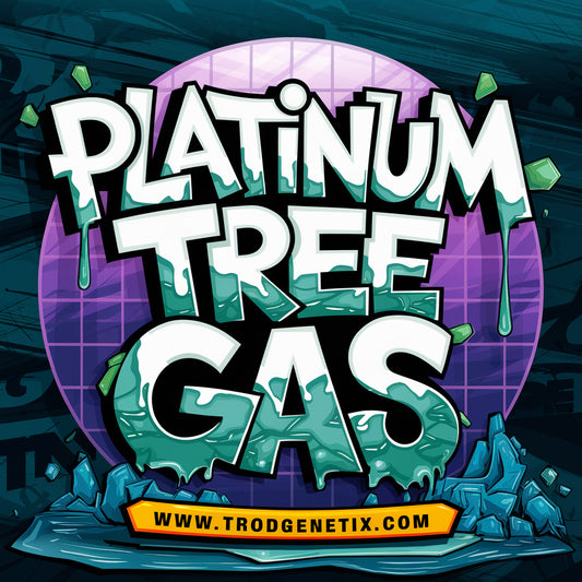 PLATINUM TREE GAS X1(fem)